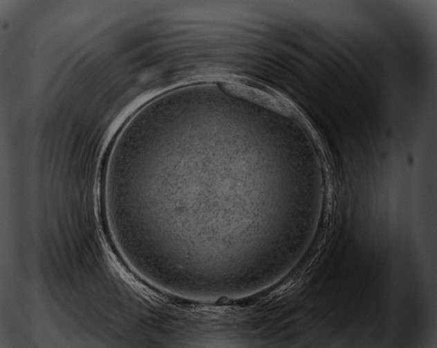 X0000051890955200507020052