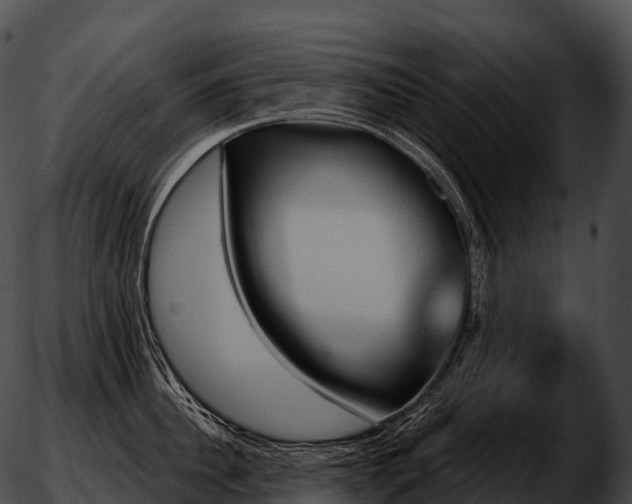 X0000051890956200507020052