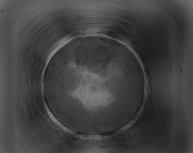 X0000051890957200507020052