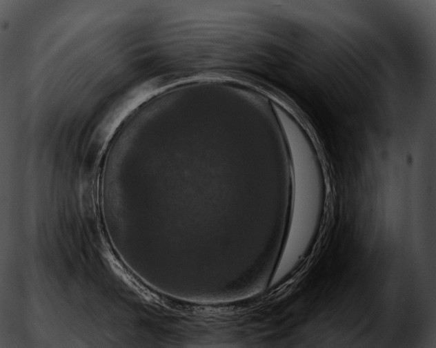 X0000051890958200507020052