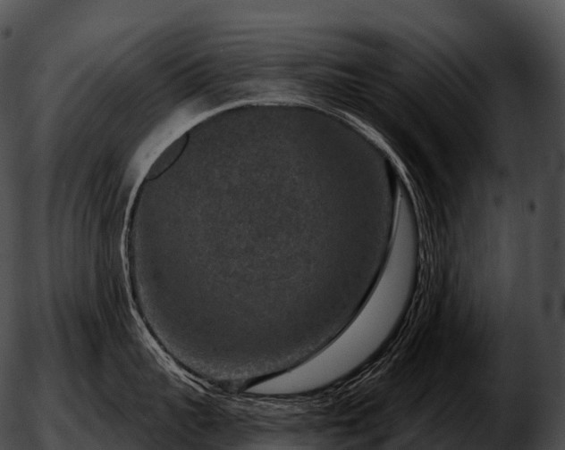 X0000051890959200507020052