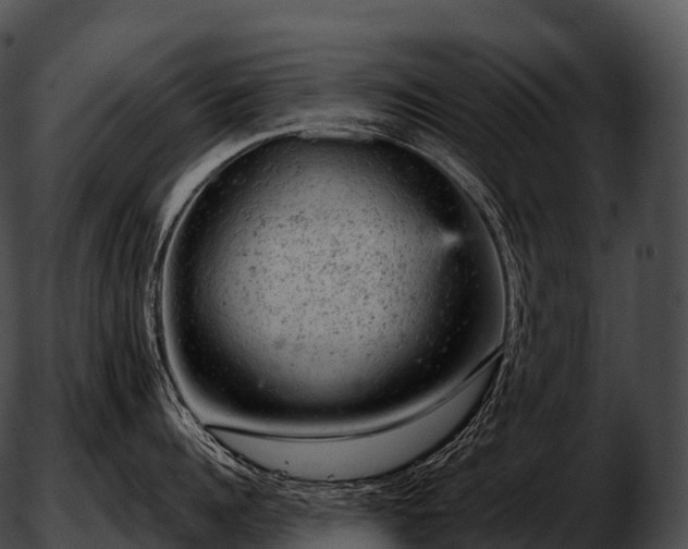 X0000051890960200507020052