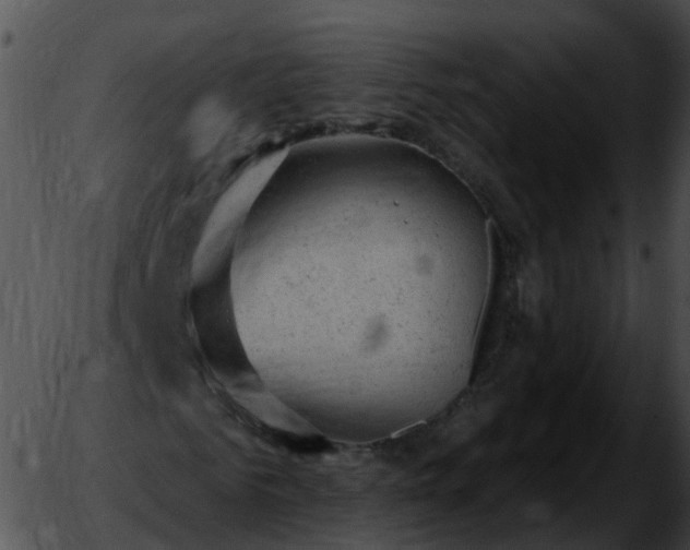 X0000051890961200507020052