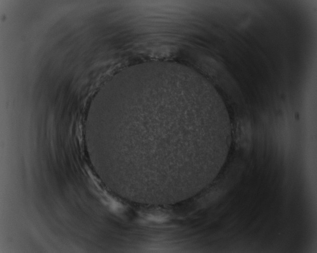 X0000051890962200507020052