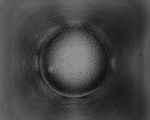 X0000051890963200507020052