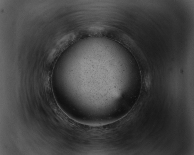 X0000051890964200507020052