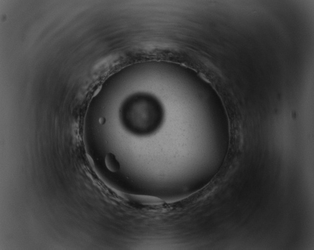 X0000051890965200507020052