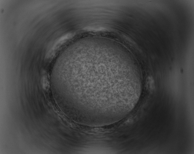 X0000051890966200507020052