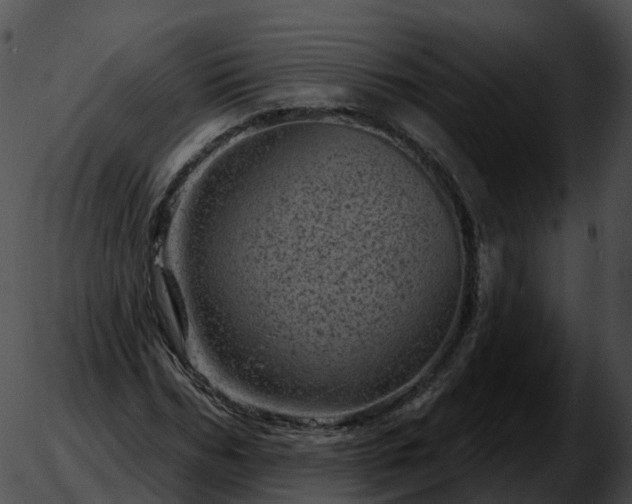 X0000051890970200507020052