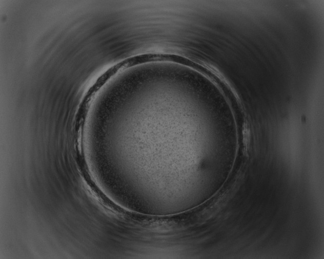 X0000051890972200507020052