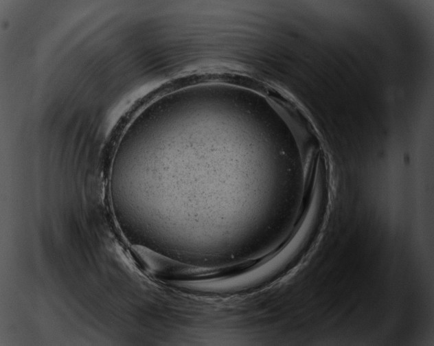 X0000051890973200507020052