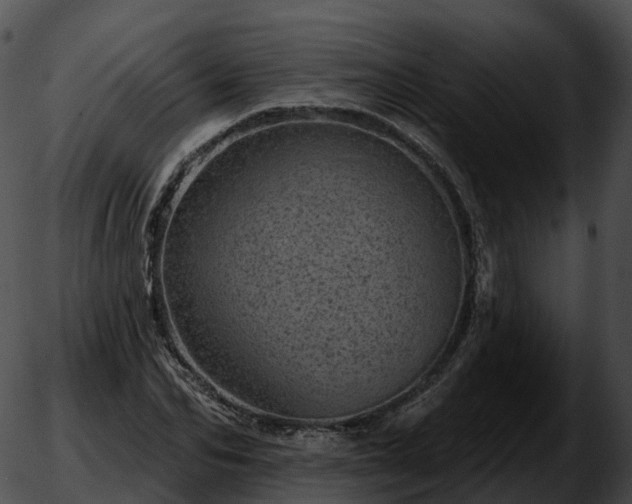 X0000051890974200507020051