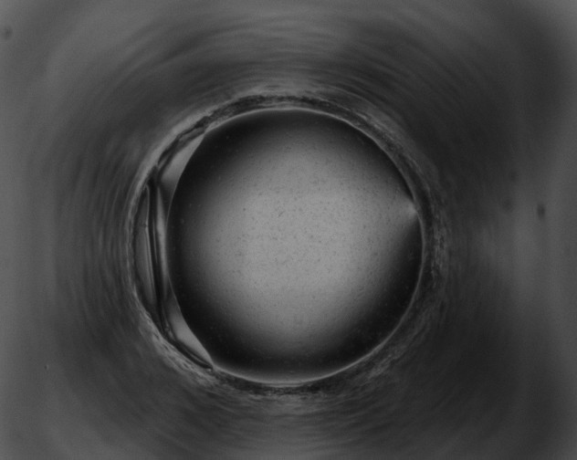 X0000051890976200507020051