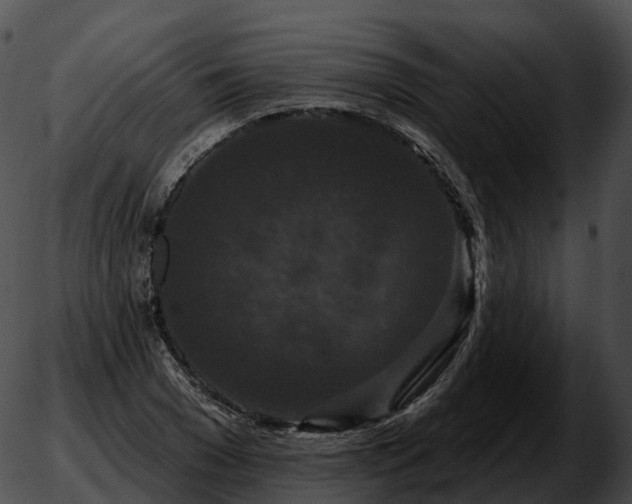 X0000051890977200507020051