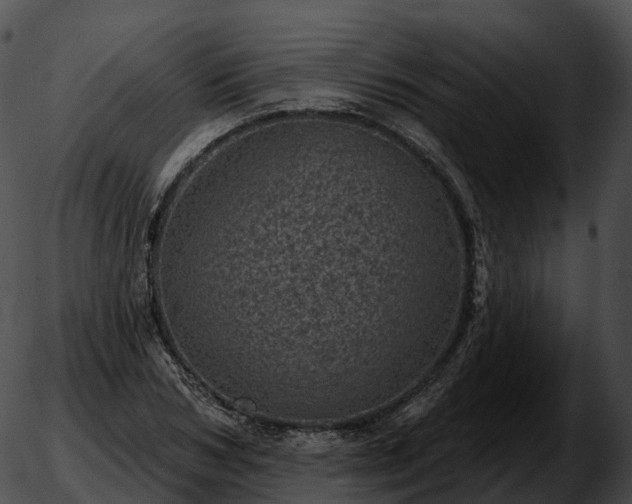 X0000051890978200507020051