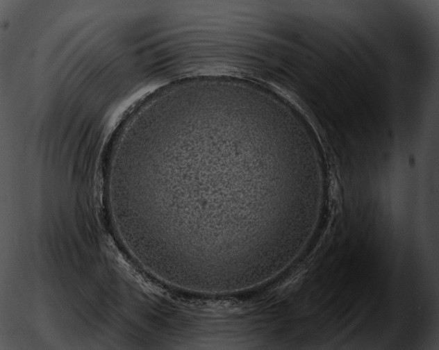 X0000051890979200507020051