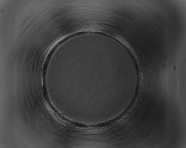 X0000051890980200507020051