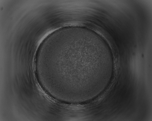 X0000051890983200507020051