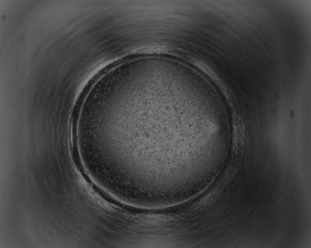 X0000051890984200507020051