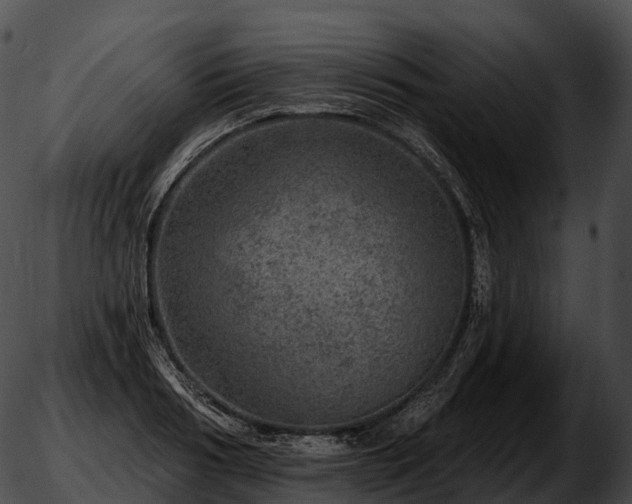 X0000051890986200507020051