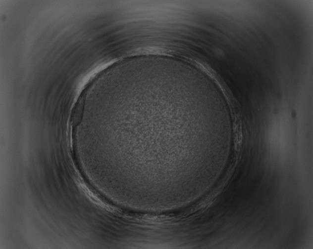 X0000051890987200507020051