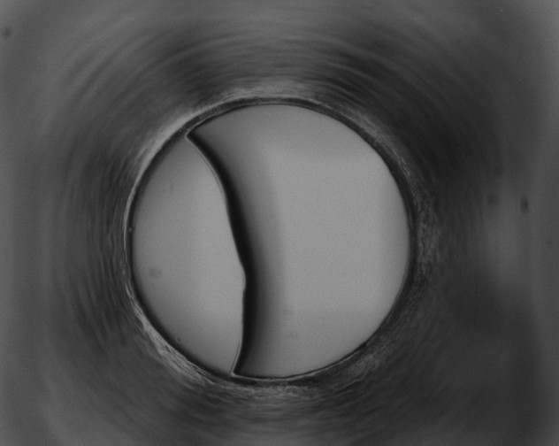 X0000051890988200507020051