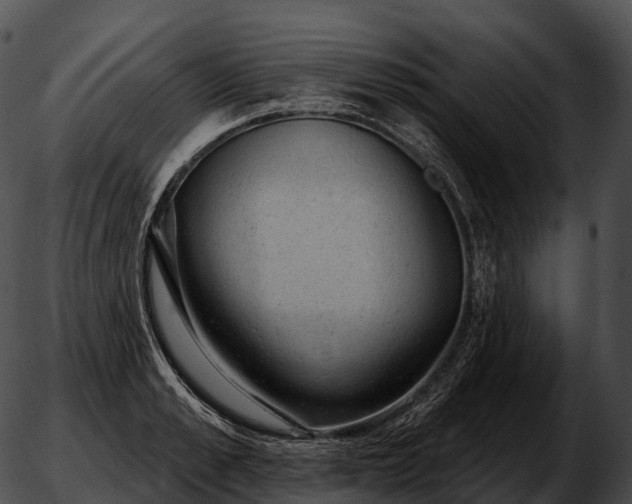 X0000051890989200507020051