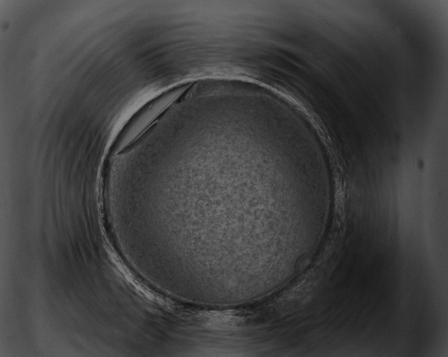 X0000051890990200507020051