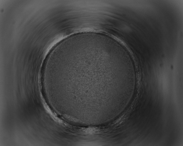 X0000051890991200507020051