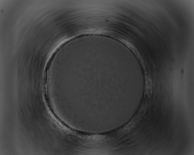 X0000051890992200507020051