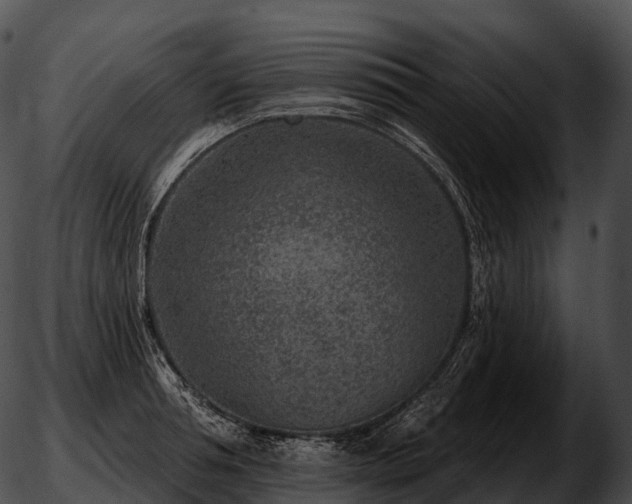 X0000051890994200507020051