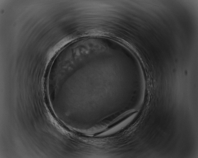 X0000051890995200507020051