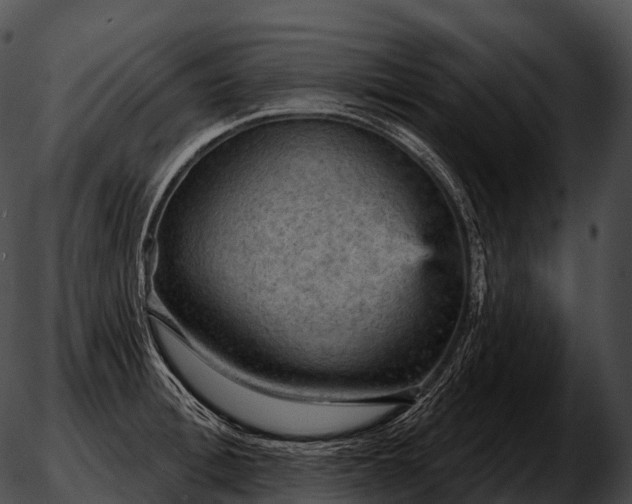 X0000051890996200507020051