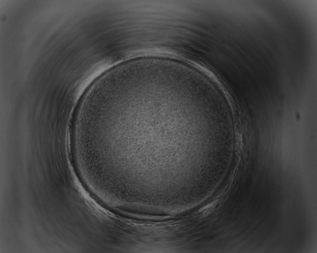 X0000051890999200507020051