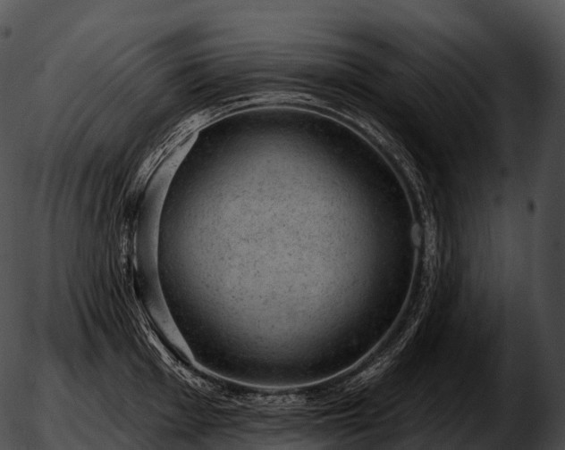 X0000051891001200507020051