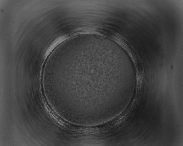 X0000051891002200507020051