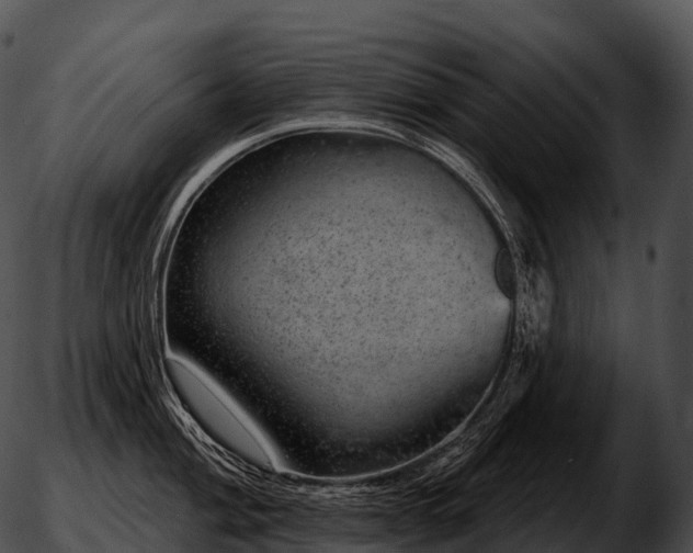 X0000051891004200507020051