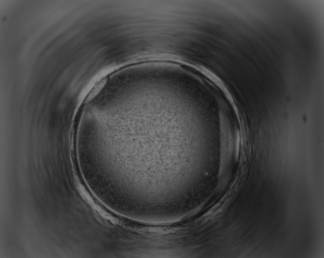 X0000051891005200507020051