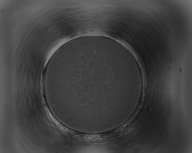 X0000051891006200507020051