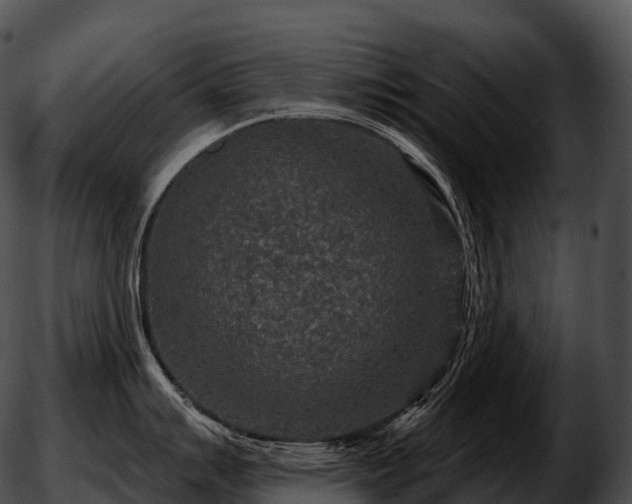 X0000051891007200507020051