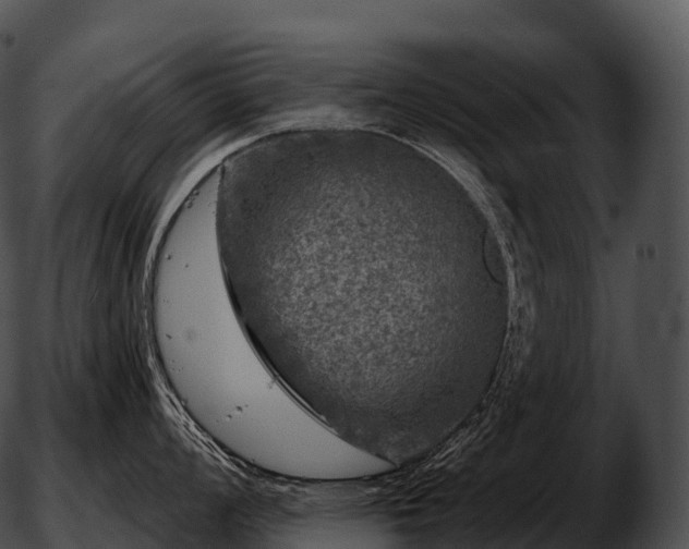 X0000051891008200507020051