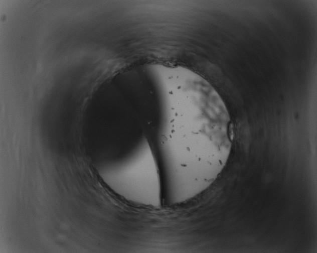 X0000051891009200507020050