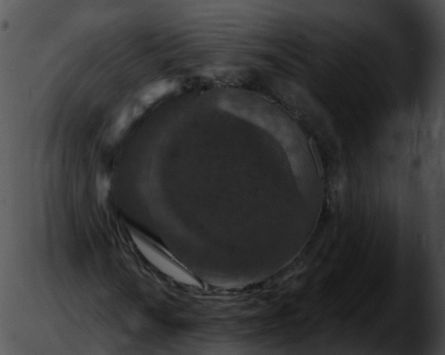 X0000051891010200507020050