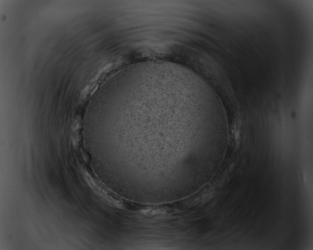 X0000051891012200507020050