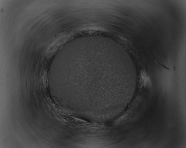 X0000051891014200507020050