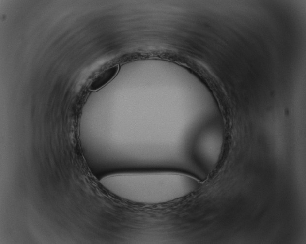 X0000051891016200507020050