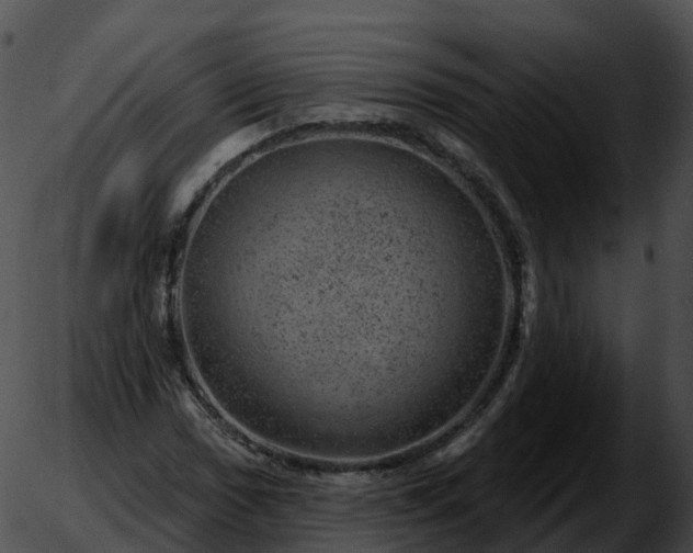 X0000051891017200507020050