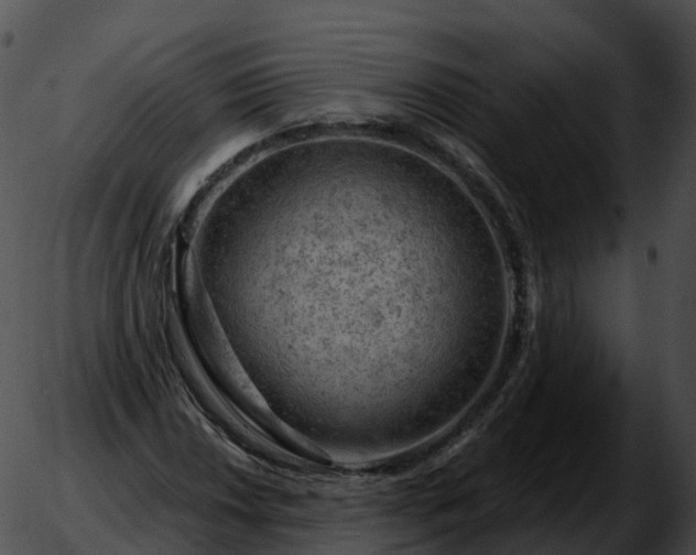 X0000051891018200507020050