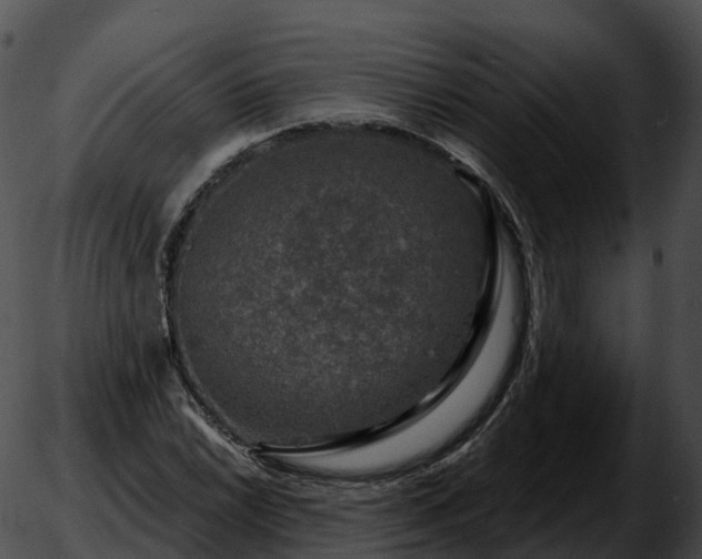 X0000051891022200507020050