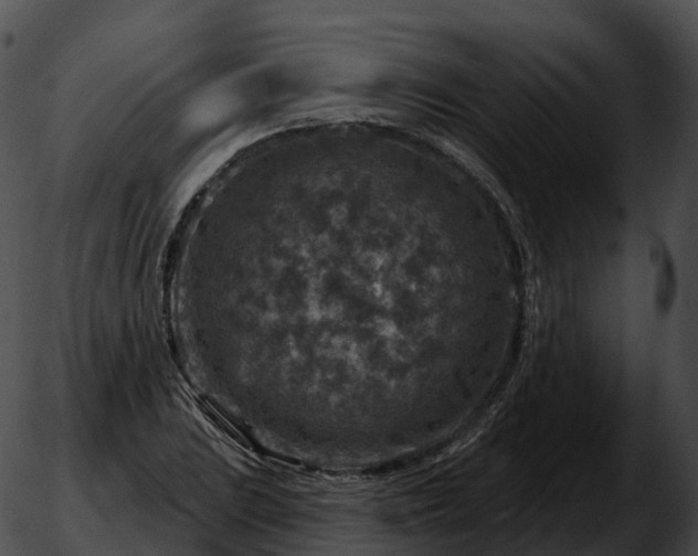 X0000051891023200507020050